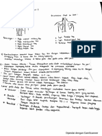 pemeriksaan fisik paru_adetriyasmin