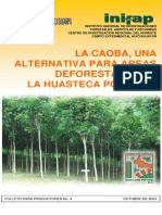 CAOBA VIVERO .pdf