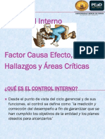 Control Interno Factores Causa Efecto