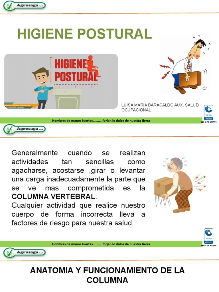 Higiene Postural | PDF | Dolor lumbar | La columna vertebral