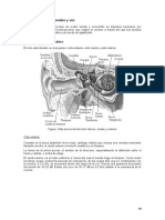 Teoria de La Audicion