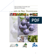 IICA - ESTUDIO PRODUCTOS AGRICOLAS - MERCADO REP. DOMINICANA