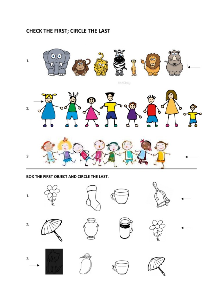 Object Identification Instructions | PDF