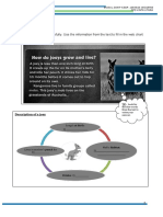 Joey Description Web Chart