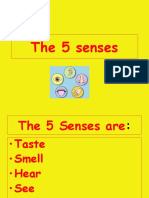 5 Senses Fun Activities Games - 10253