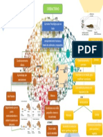 Mapa Del Conductismo PDF