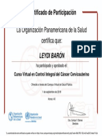 CURSO DE VPH EN OPS LEYDI