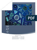 366182911-Diatomeas-Como-Bioindicadores