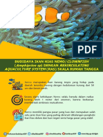 Budidaya Ikan Nemo Rentabel dengan Sistem RAS