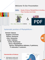 Phytophthora Presentation