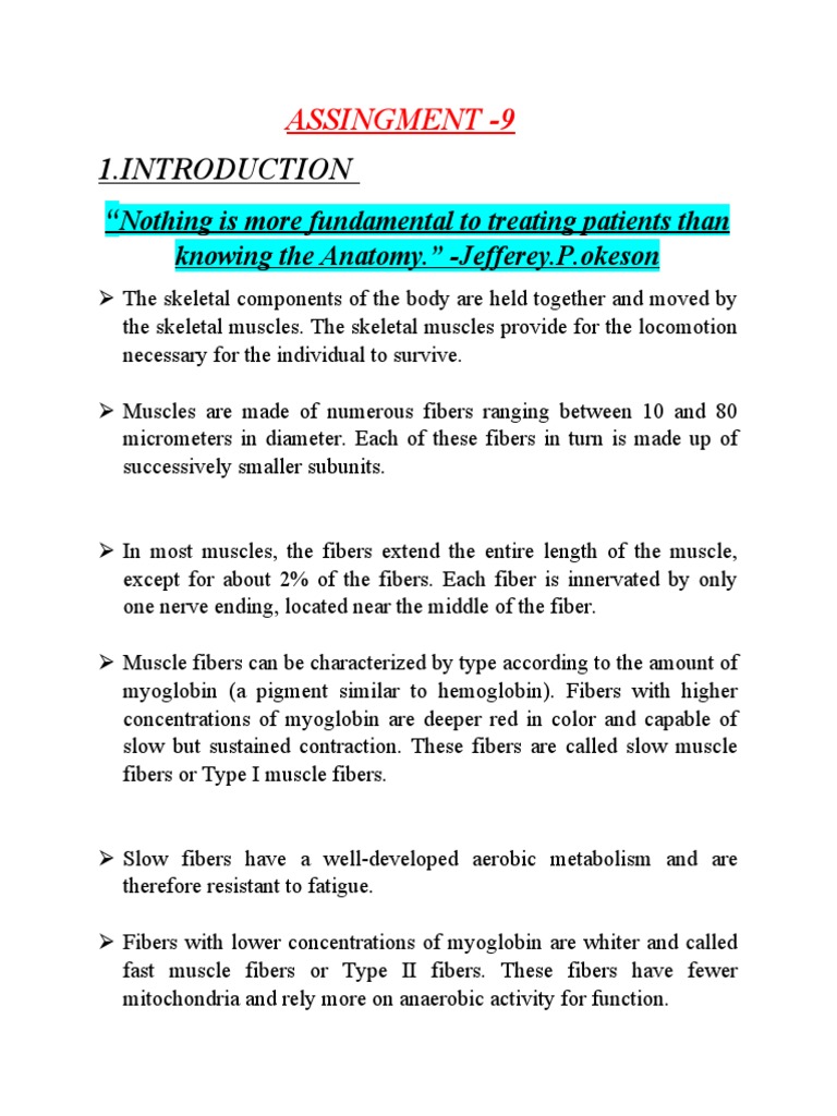 Assignment 8 Pdf Human Head And Neck Musculoskeletal System