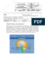 Taller Del Cerebro Biologia Sebastian Rubio