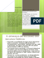 As queimadas.pdf