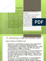 As Queimadas PDF