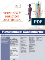 Tema 1 Términos y Posiciones Anatómicas