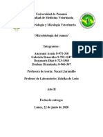 Microbiología Del Rumen PDF