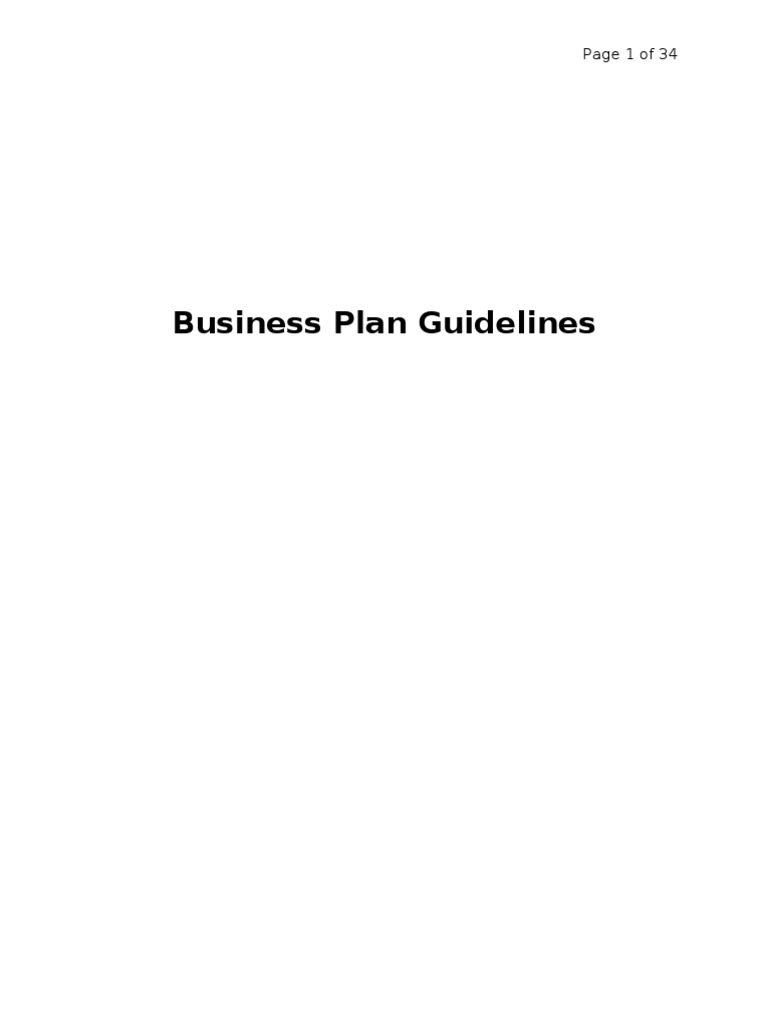 Business Plan Guidelines: Page 1 of 34 | PDF | Inventory | Balance Sheet