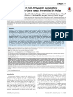 Artigo 8 - Cry 1F Resistance in Fall Armyworm Spodoptera Frugiperda Single Gene Versus Pyramided BT Maize