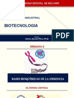 S6 Diapositivas Biotecnol 6 Jl  2020.pptx