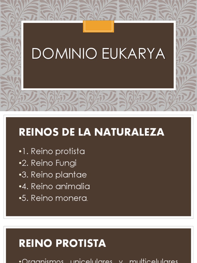 Dominio Eukarya | PDF