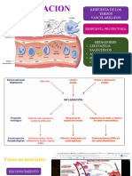 Inflamación