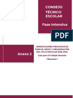 VUI X 0365 TEC Orientacionespedagogicas Anexo 4 PDF