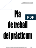 Pla Treball Practicum