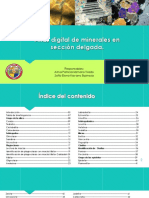 Atlas_digital_de_minerales_en_sección_delgada.pdf