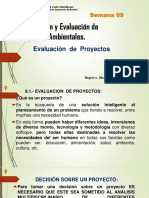 09.formulacion y Eval de Proyectos - PDF 09