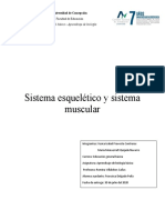 Sistema Esquelético y Sistema Muscular