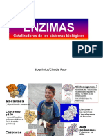 enzimas parte 1.pdf