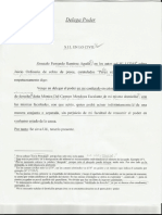 DELGAPODER1.pdf