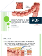 Neoplasias o Tumores Benignos de Colon