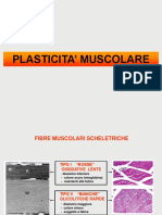 Lezione 2 Plasticità Muscolare