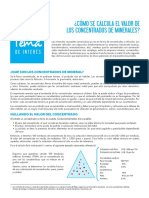 Tema de Interes - Valor de Los Concentrados de Minerales PDF