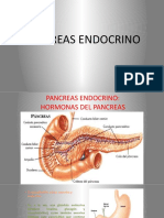 Pancreas Endocrino Undac 19