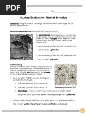 Student Exploration Natural Selection Gizmo Pdf Natural Selection Evolution