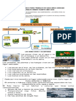 Diseño Pedagogico para Trabajo en Casa Junio 23 Area Ciencias Naturales Grado Cuarto Año 2020 PDF