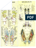 Reflexologia Mapas Manos Y Pies