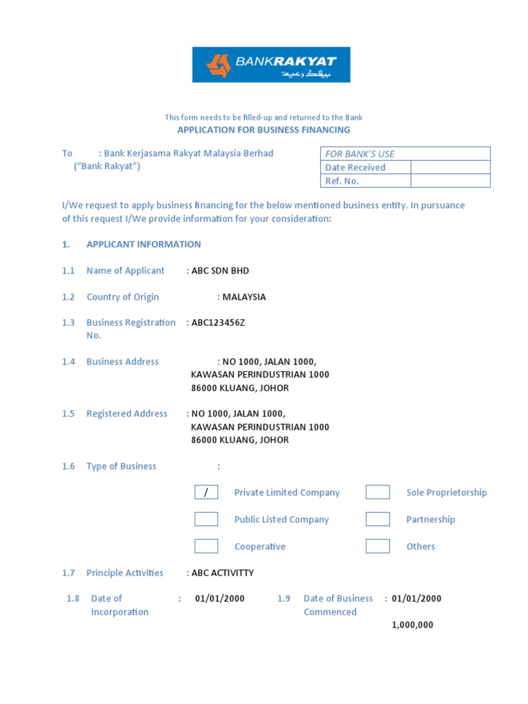 Business Financing Application Form | PDF | Banks | Balance Sheet