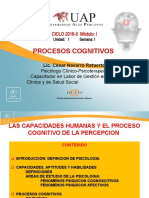 Semana 1 Procesos Cognitivos