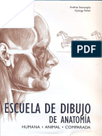 Escuela de Dibujo de Anatomía - Humana, Animal, Comparada PDF