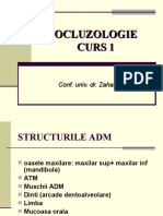 Curs 1 - Ocluzo