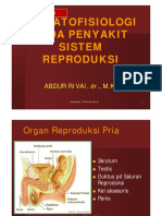 P15-PF13. PF Peny Sistem Reproduksi