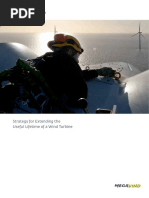 Strategy For Extending The Useful Lifetime of A Wind Turbine