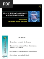 4 Processo Epidêmico pdf.pdf