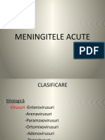 Meningitele Acute