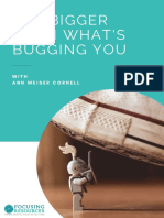 Get Bigger Than What'S Bugging You: With Ann Weiser Cornell