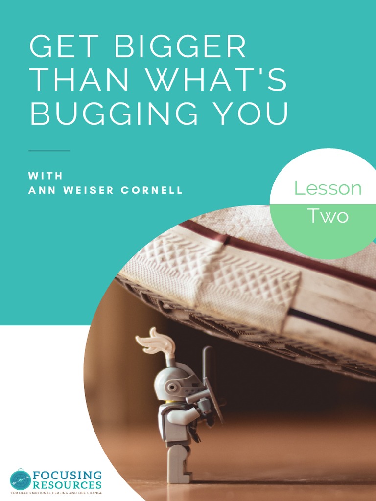 Get Bigger Than What'S Bugging You: Lesson | PDF | Self-Improvement