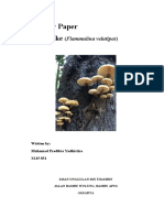 Enoki Mushroom Biology Paper